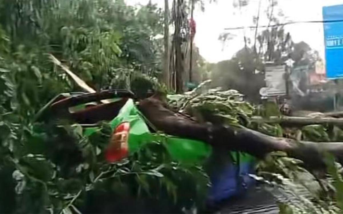 Klaim Asuransi Korban Pohon Tumbang di Tangerang, Segini Cairnya