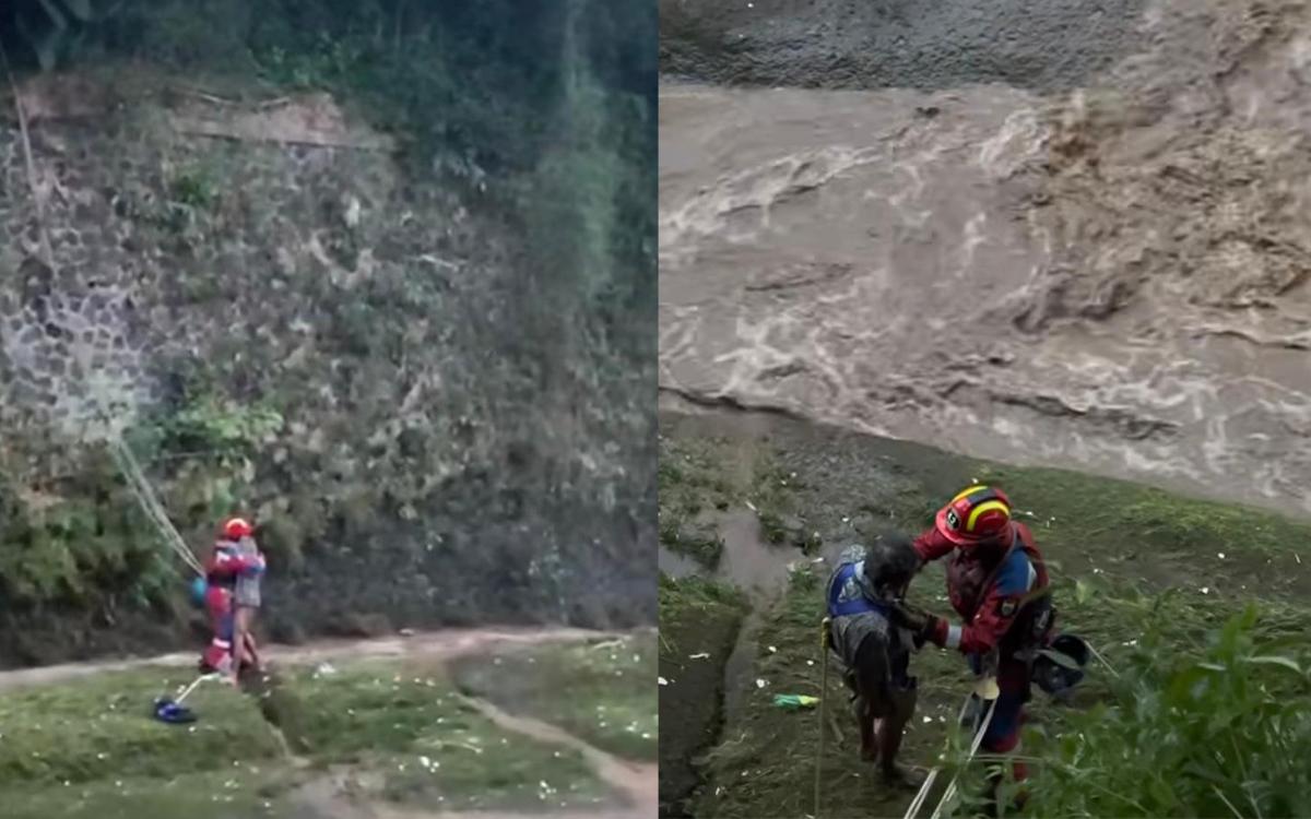 Aksi Heroik Petugas Damkar Bandung! Selamatkan ODGJ Terjebak di Sungai Cikapundung