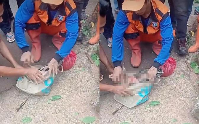 Shock! Bayi Ditemukan Hidup di TPS Setu Cipayung, Petugas Langsung Bertindak Cepat