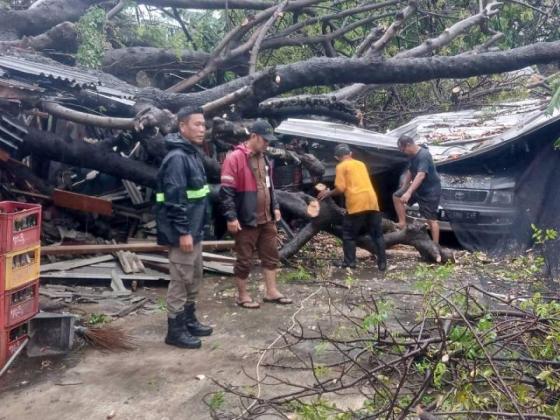 Diguyur Hujan Lebat, Pohon Tumbang dan Sejumlah Wilayah Tangerang Tergenang 