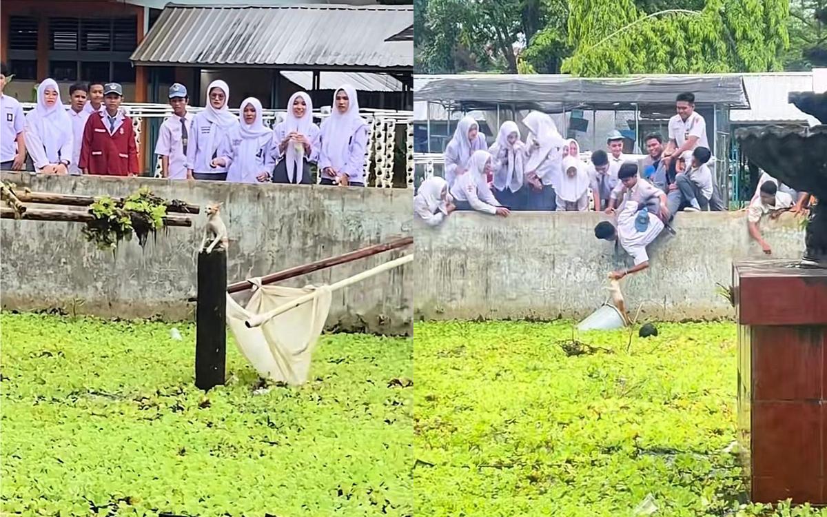 Aksi Heroik Siswa Selamatkan Kucing Oren Terjebak, Totalitasnya Kalahkan Damkar!
