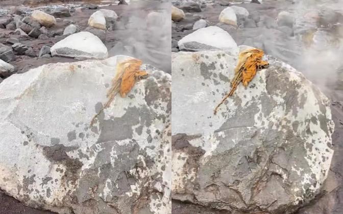 Panas Mendidih! Batu Lahar Semeru Masih Berasap, Warga Diminta Jauhi Zona Merah