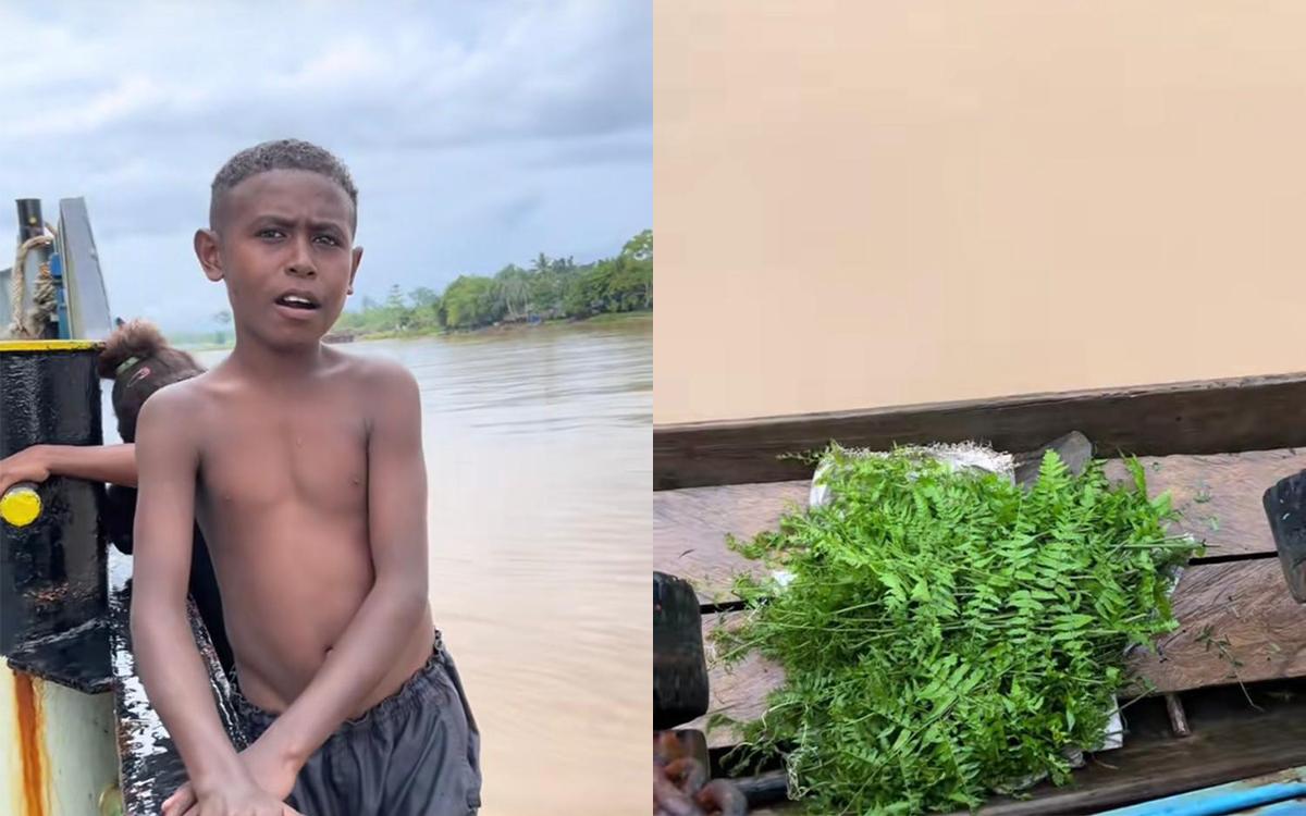 Bocah Papua Bikin Haru! Tak Minta-Minta, Mereka Rela Jual Sayuran Demi Bawa Pulang Beras