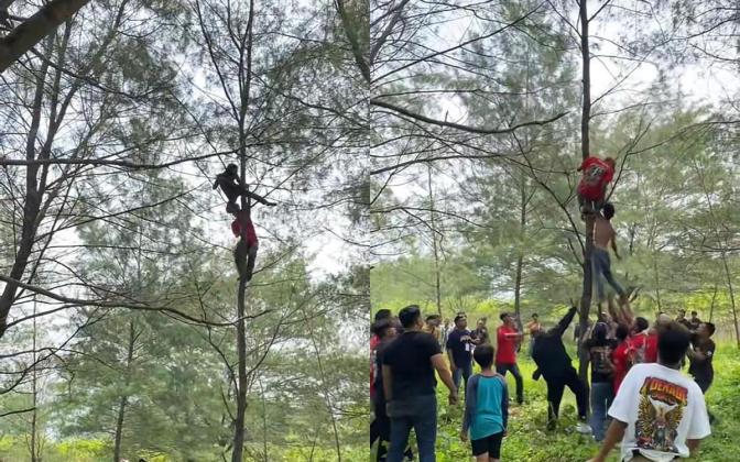 Pria Mabuk Parah di Kebumen Nekat Tidur di Puncak Pohon, Evakuasi Dramatis Warga Sampai Guyur Air Kolam!