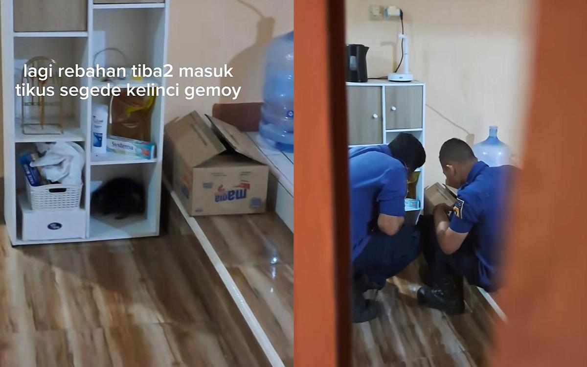 Geger! Monster Tikus Got Cibinong Ngamuk di Rumah, Anak Pemilik Langsung Trauma Berat