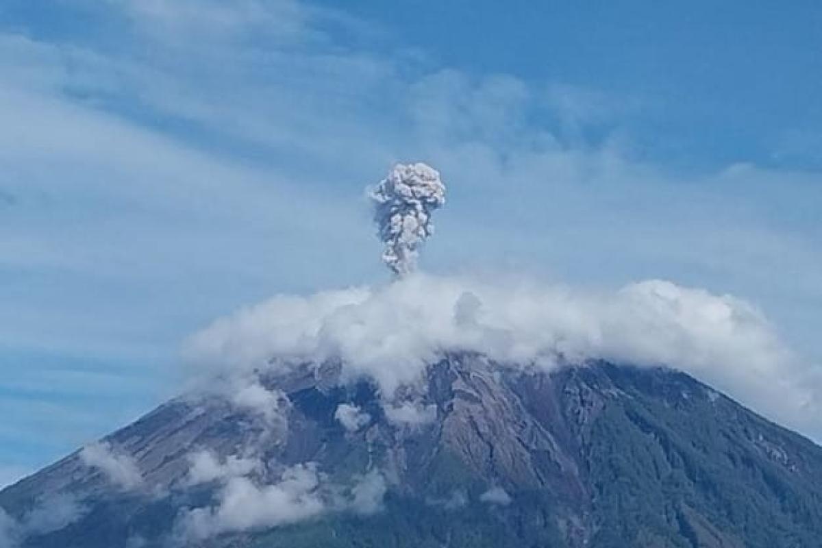 Gunung Semeru Kembali Meletus, Kolom Abu Capai 600 Meter