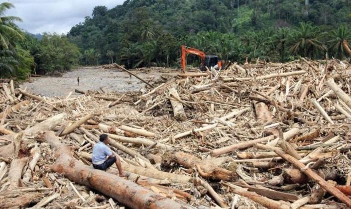 Kejagung Telusuri Dugaan Pembalakan Liar di Aceh, Sumut, dan Sumbar, Gimana Hasilnya?