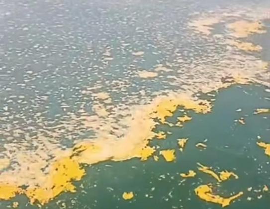 Pantai Utara Tangerang Tercemar Limbah Minyak, Nelayan Meradang!