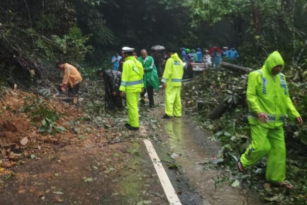 Korban Meninggal Bencana Alam di Sumut Bertambah Jadi 330 Orang