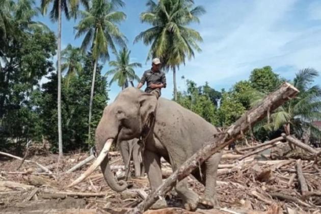 Dinilai Lalai! Warga Sumatra Barat Ajukan Gugatan ke Negara atas Bencana Ekologis