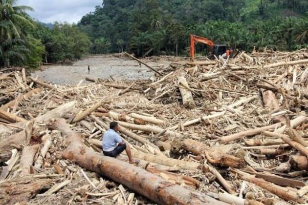 Diduga Picu Banjir Besar di Sumatra, Kapolri Klaim Kantongi Tersangka Pembalakan Liar di Tapanuli! 