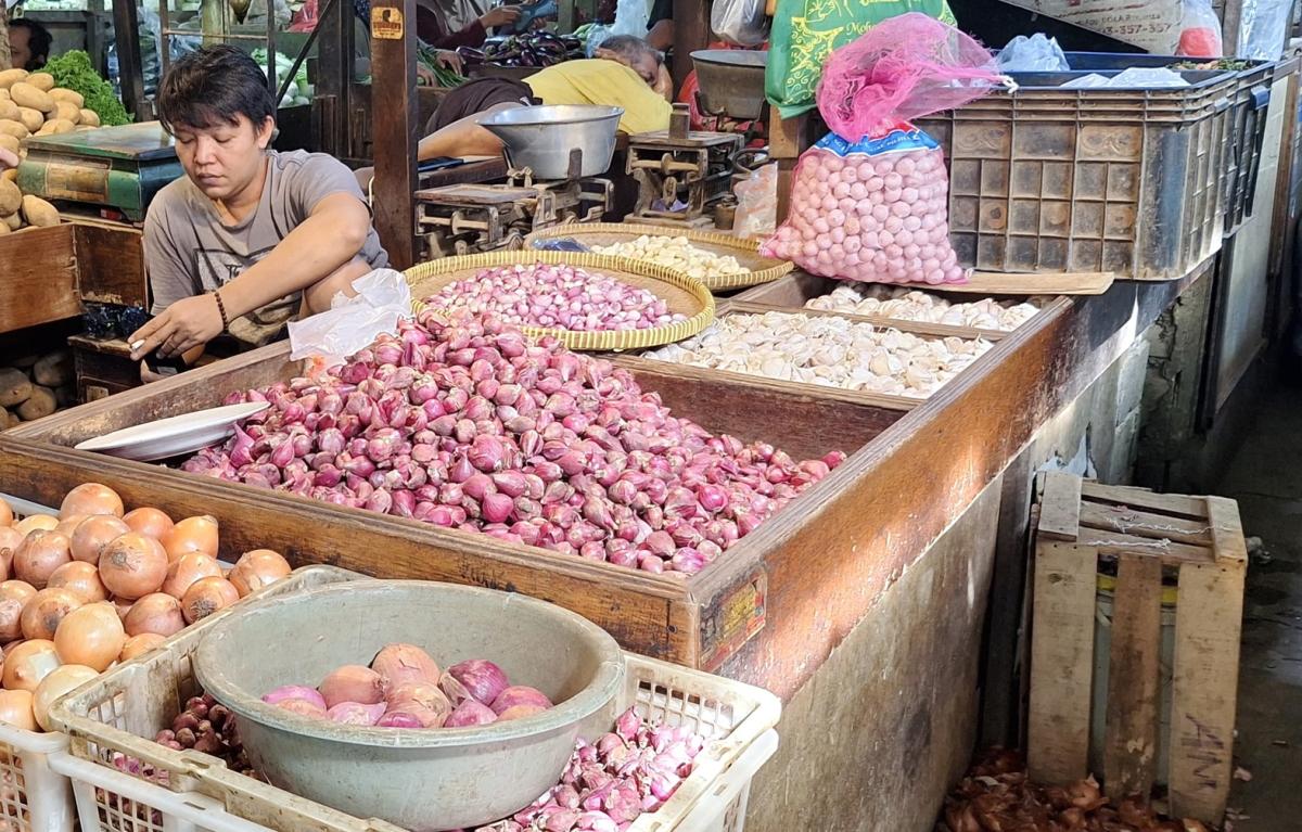 Alarm Gawat! Harga Bawang Merah Terbang di Jakarta: Alih Fungsi Lahan Jadi Biang Kerok Utama