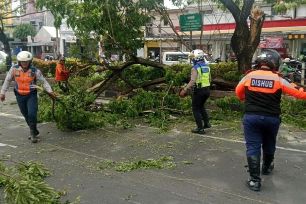 Pohon Tumbang di Margonda Depok Timpa Mobil, Arus Lalu Lintas Sempat Tersendat