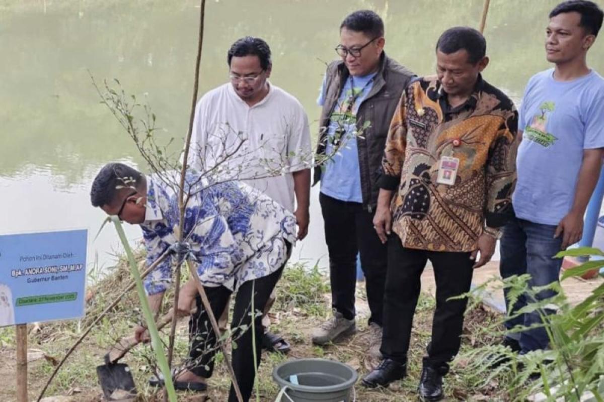 Pemprov Banten Salurkan 3.000 Bibit Ketapang Kencana dan Mahoni Dukung Gerakan Banten Teduh