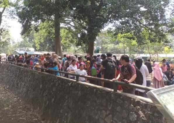 Libur Natal, Pengunjung Ragunan Meroket hingga Puluhan Ribu Orang