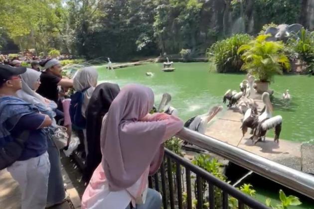 Ragunan Tetap Jadi Favorit Warga, Tak Ada Acara Khusus Malam Tahun Baru 2026