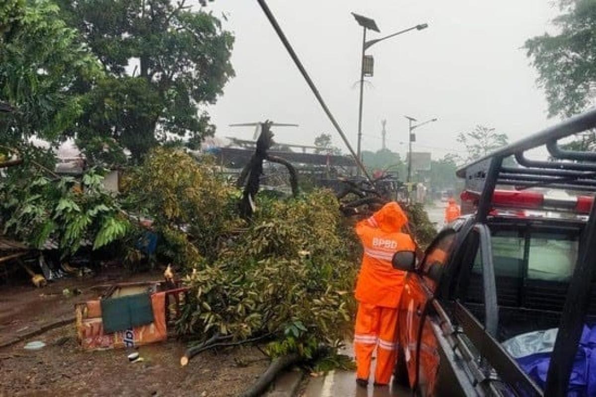 Cuaca Ekstrem Terjang Bogor, Angin Kencang Robohkan Pohon di Kemang