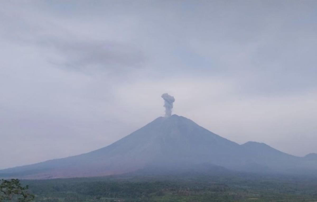 Gunung Semeru Erupsi Tiga Kali, Kolom Abu Capai 900 Meter