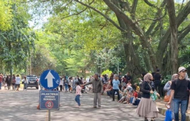 Ragunan Prediksi Kunjungan Tahun Baru 2026 Tembus 100 Ribu Orang