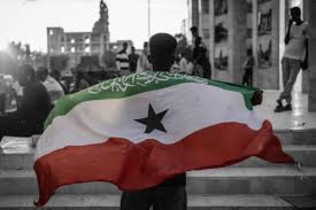 Niat Busuk Israel Akui Kedaulatan Somaliland Dibongkar Presiden Somalia: Rencananya untuk Penampungan Warga Palestina!
