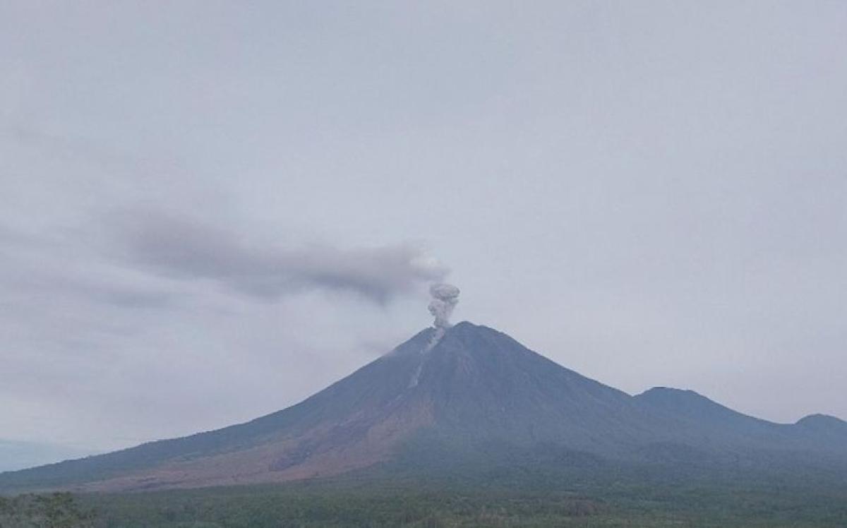 Aktivitas Gunung Semeru Kian Intens, Ratusan Gempa Erupsi Terekam dalam Sehari