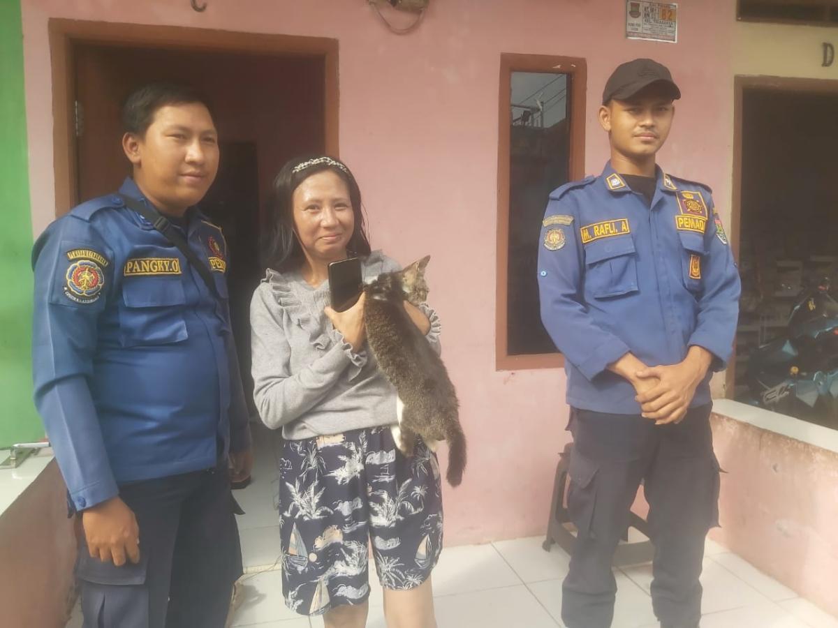Tim Damkar Tigaraksa Evakuasi Kucing Terjebak Lima Hari di Kontrakan 