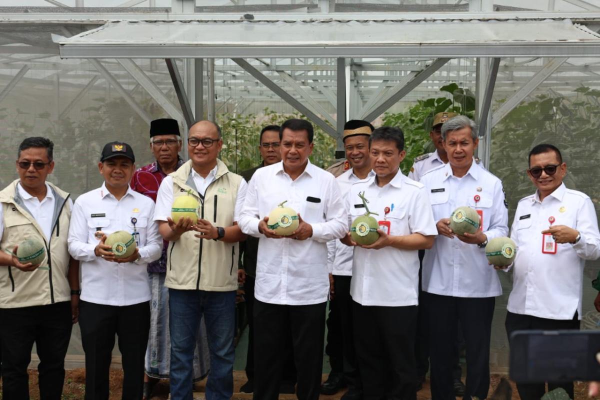 Lahan Tidur Jadi Lahan Produktif, Desa Sodong Potensi Hasilkan Belasan Juta dari Panen Melon