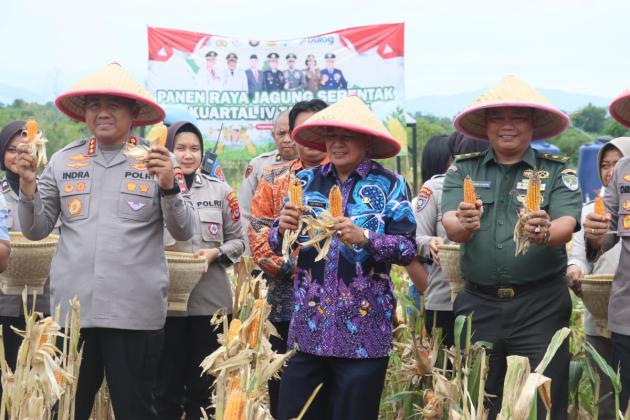 Sempat Dikabarkan Terbengkalai, Jagung Program Pangan Polri Akhirnya Dipanen