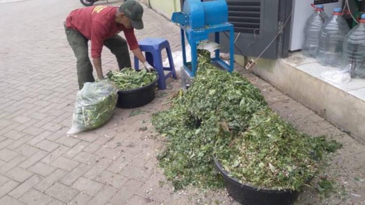 Kurangi Beban TPA, Begini Cara Pengolahan Sampah di Pasar Anyar Tangerang 