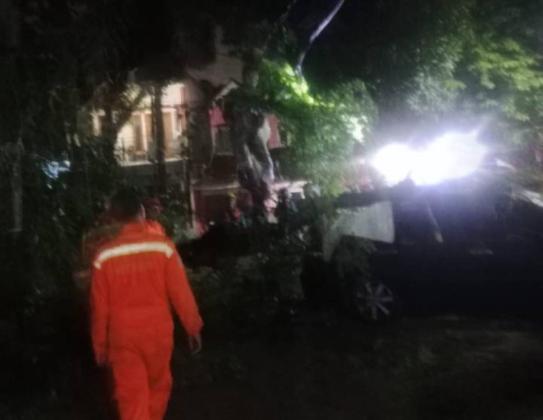 Pohon Tumbang di Tangerang, Dua Minibus Ringsek!