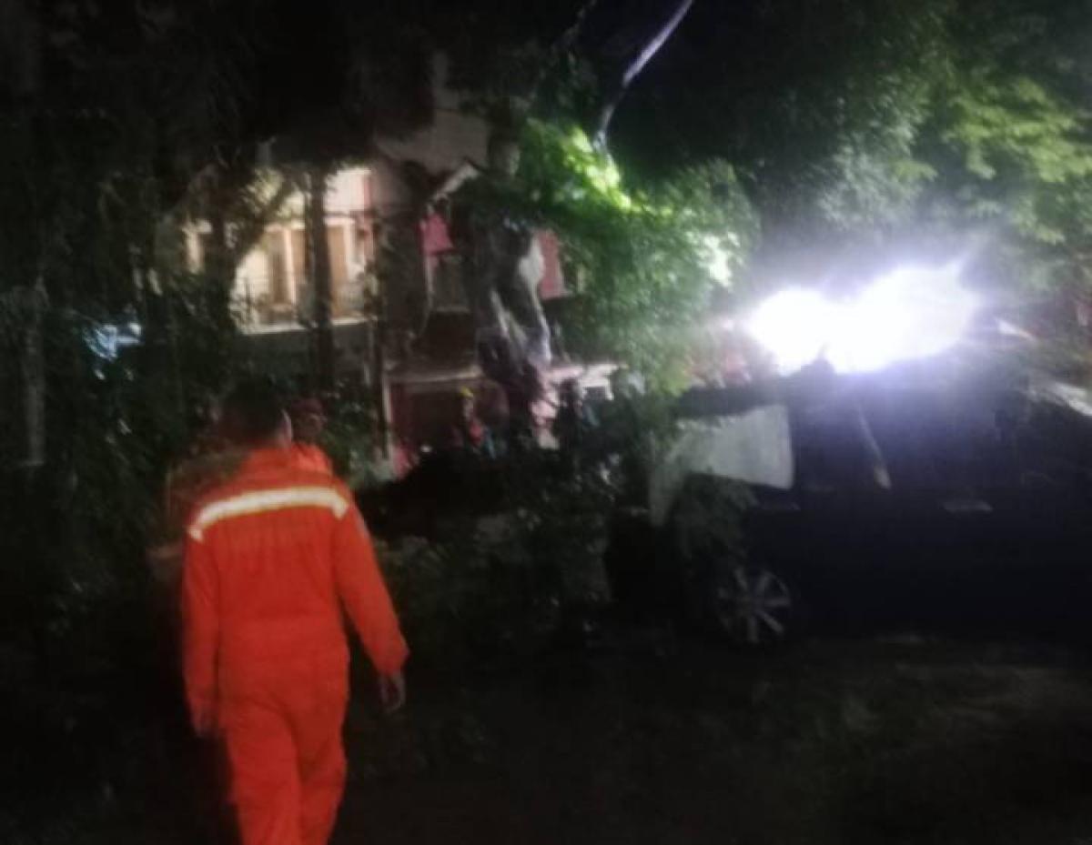 Pohon Tumbang di Tangerang, Dua Minibus Ringsek!