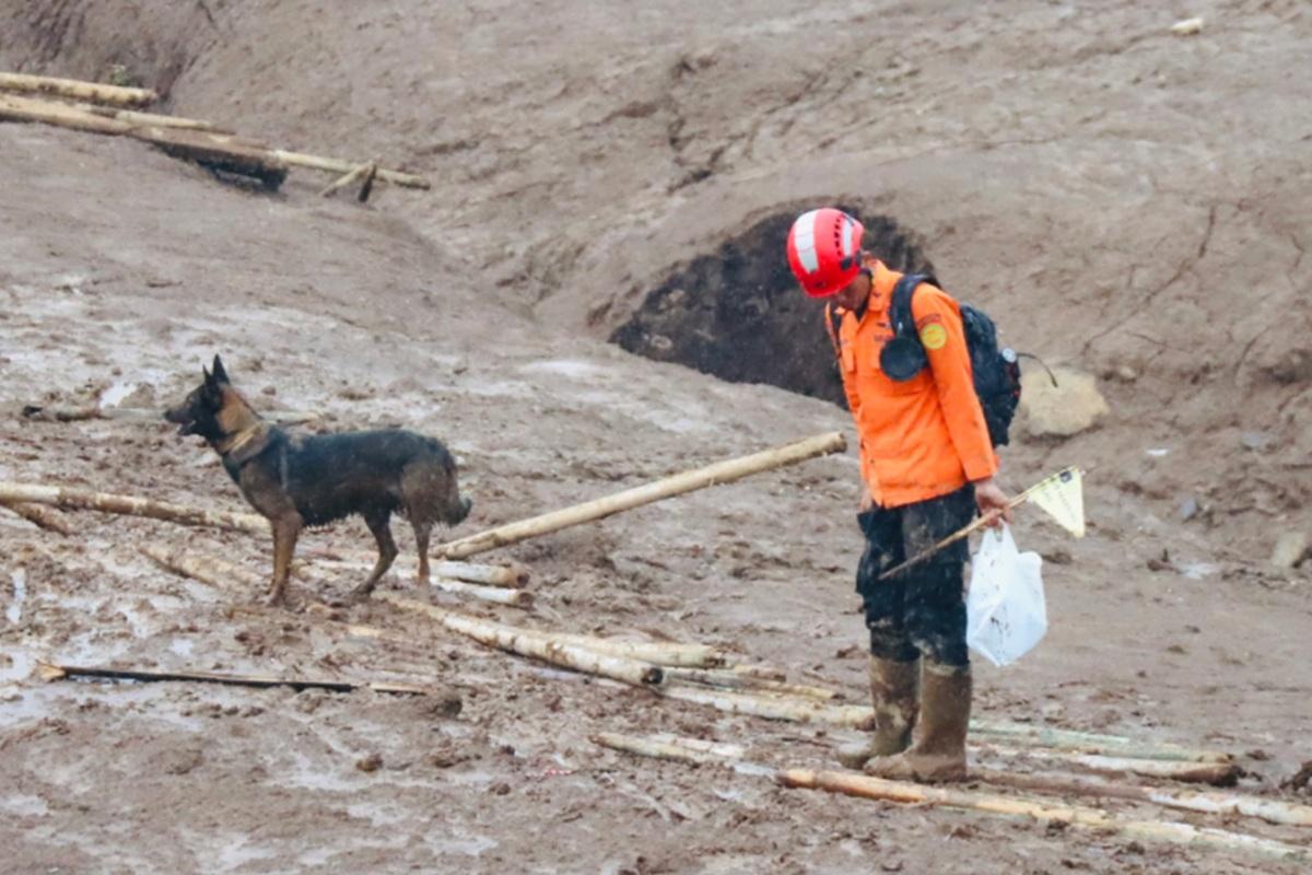 Pencarian Korban Longsor Bandung Barat Diperkuat K9 dan Alat Berat, 17 Jenazah Ditemukan