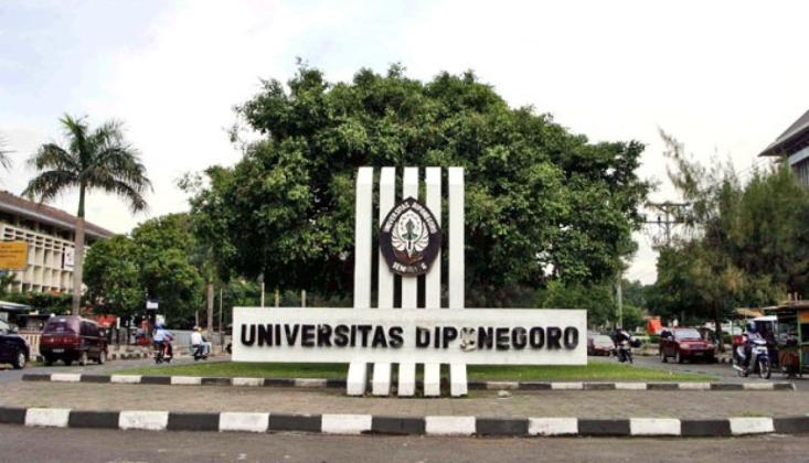 Siap-siap Rebutan! Undip Resmi Umumkan Daya Tampung SNBP 2026, Jurusan Favorit Ternyata Segini?