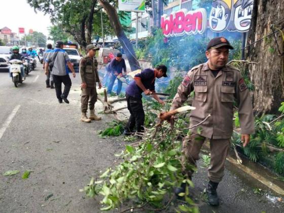 Cuaca Ekstrem, Pohon Tumbang Terjadi di Jalan Gatot Subroto Tangerang