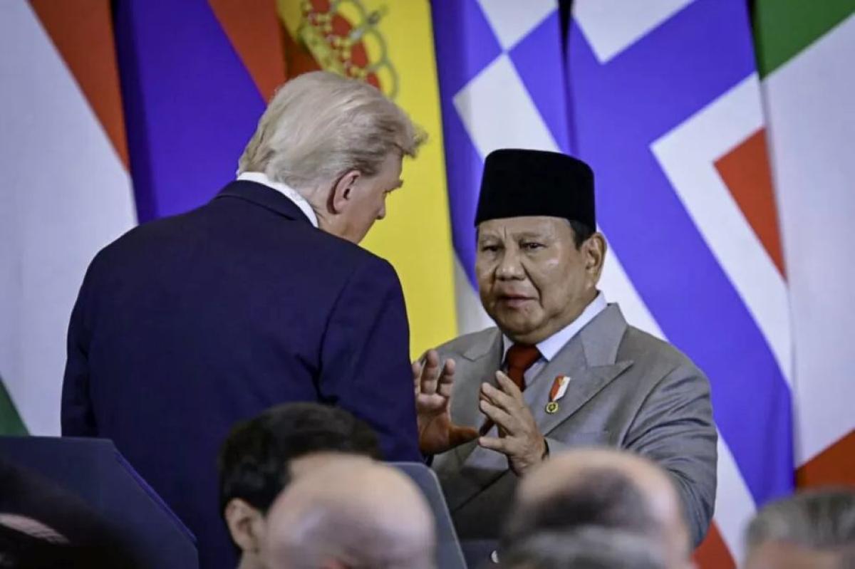 KONTROVERSI DP GAZA! Trump Minta Prabowo Setor Dana, Publik Bertanya: Misi Kemanusiaan atau Beban Baru bagi Indonesia?