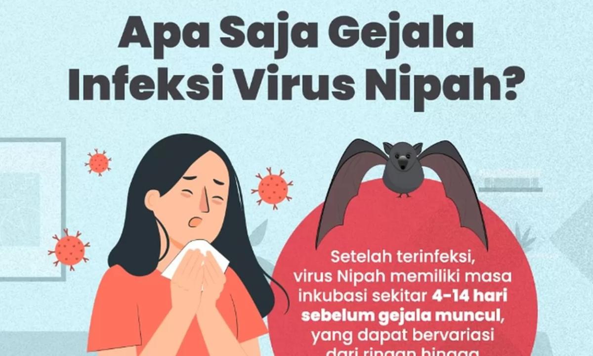 NGERI! Begini Virus Nipah MENYERANG Tubuh Manusia: MASUK ke Darah, SERANG Otak & Paru
