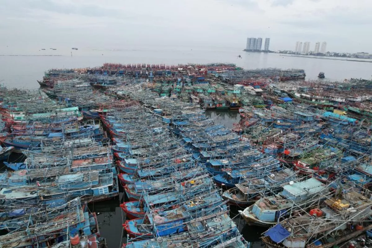 Ribuan Kapal Nelayan Tumplek Blek di Muara Angke, KKP: Bukan karena Perizinan