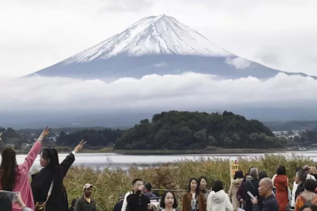 Turis Membludak, Festival Bunga Sakura Gunung Fuji Dibatalkan
