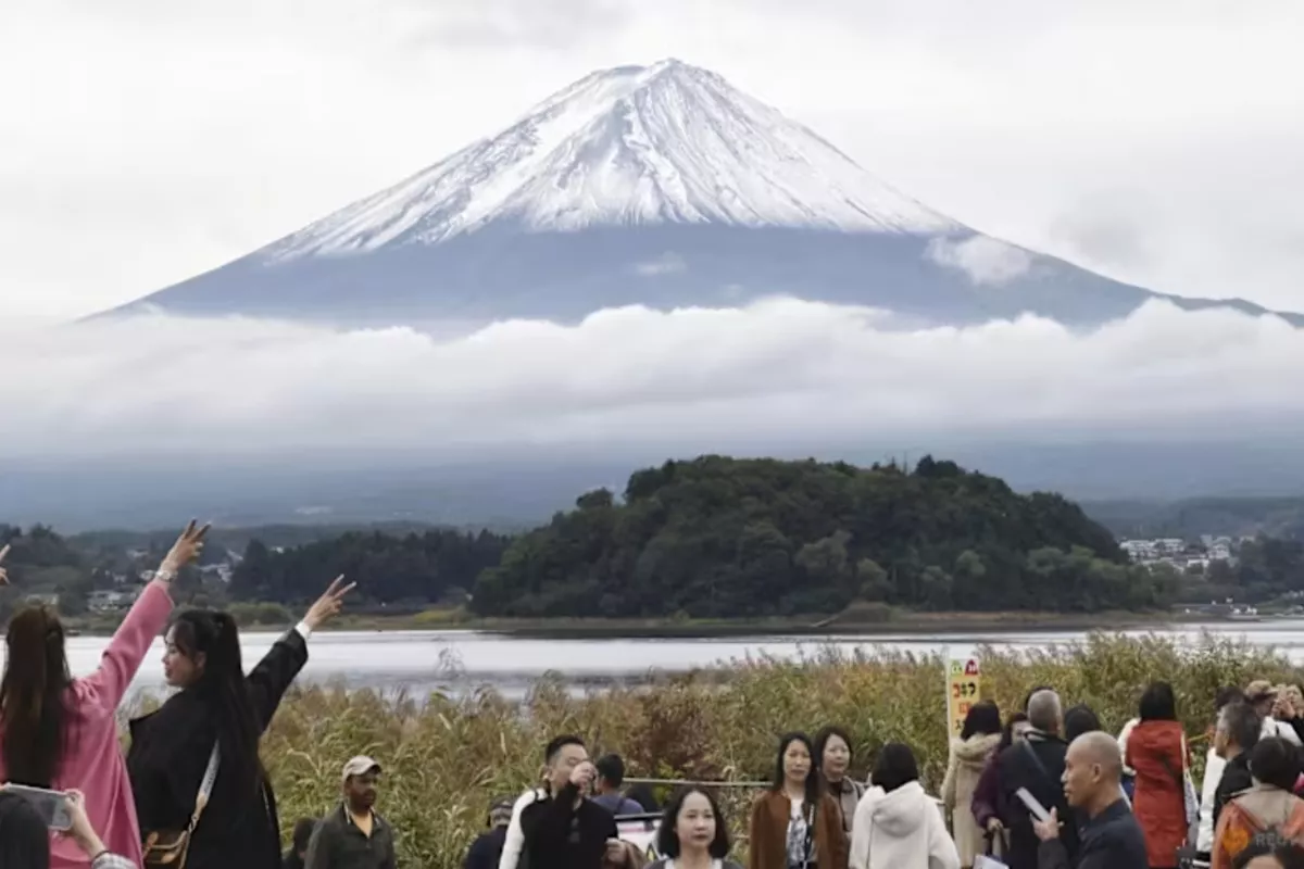 Turis Membludak, Festival Bunga Sakura Gunung Fuji Dibatalkan