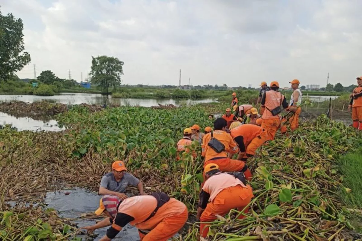 Upaya Optimalkan Daya Tampung, Sudin SDA Jakut Keruk 15 Waduk dan Kali