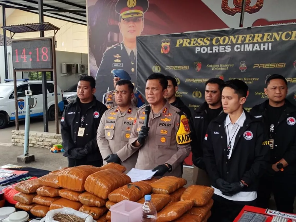 Gawat! Ganja Satu Kuintal Nyaris Masuk Bandung, Polres Cimahi Bongkar Sindikat Lintas Sumatera Senilai Rp600 Juta