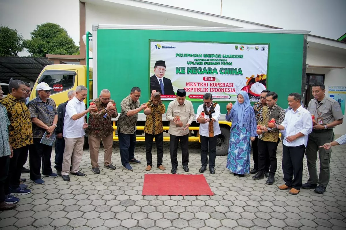 Manggis Subang Tembus Pasar China, LPDB Koperasi Siap Perkuat Pembiayaan hingga Rp20 Miliar