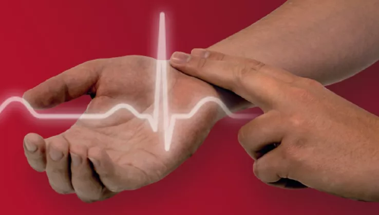Pulse Day 2026: Cara Mudah Cek Denyut Nadi Mandiri untuk Deteksi Jantung Sehat