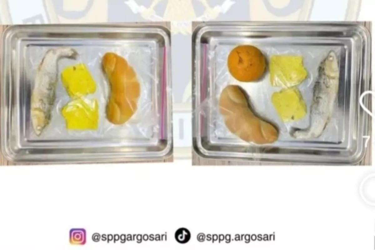 Geger! Ikan Bandeng Mentah Jadi Menu MBG di Bantul, Begini Penjelasan BGN