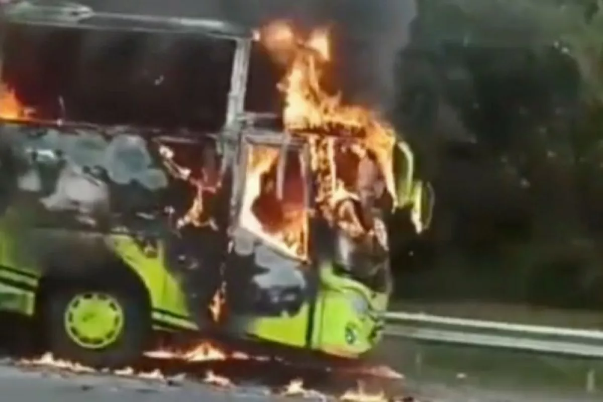 Bus Pariwisata Terbakar di Tol Cipali KM 95, Begini Kondisi Penumpangnya