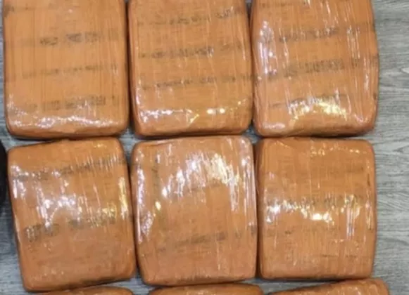 Polisi Gagalkan Peredaran 10 Kg Ganja di Grogol, Dua Pelaku Ditangkap