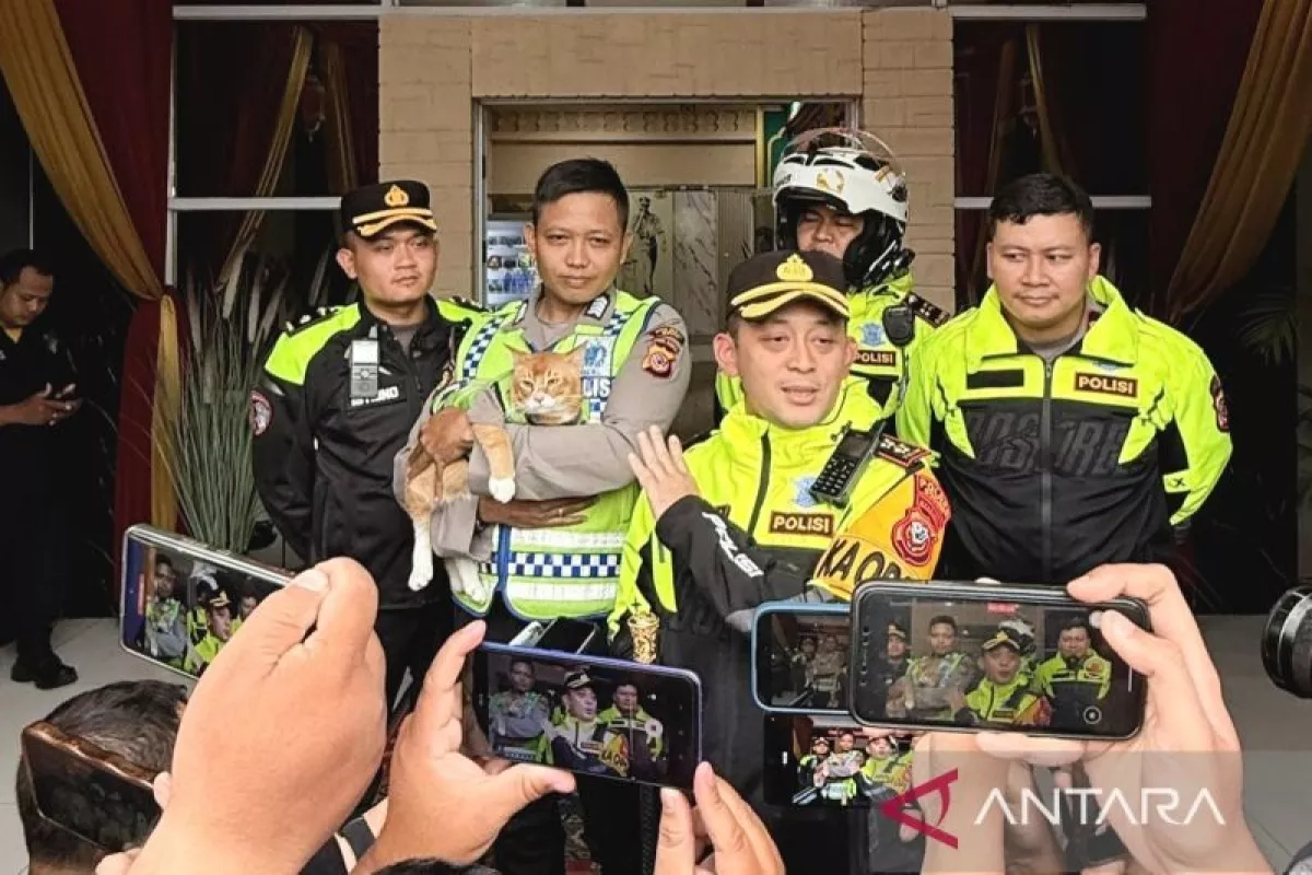 Jangan Sampai Terlewat! Kucing Oyen Berseragam Polisi 'Guncang' Jalur Puncak, Solusi Ampuh Usir Penat Saat Macet