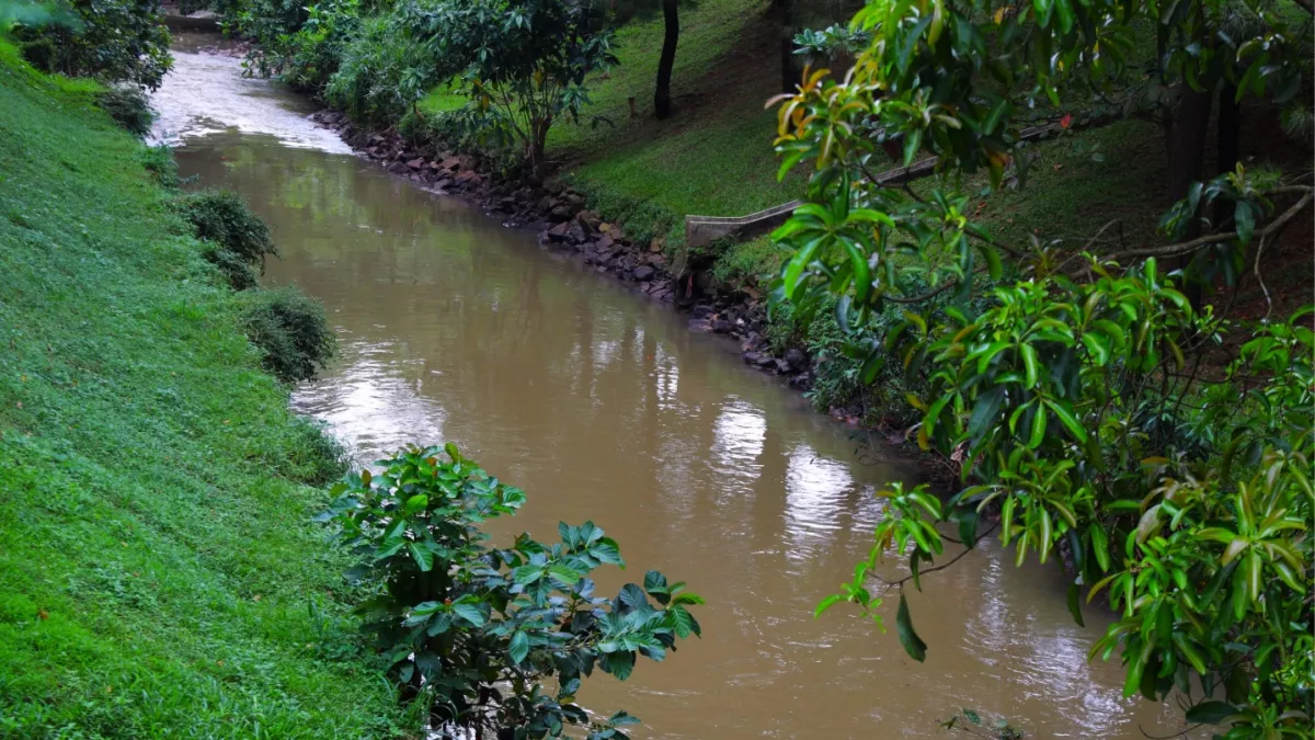 Pasca-Kebakaran Gudang Pestisida, Kualitas Air Sungai Jaletreng Tangsel Mulai Membaik