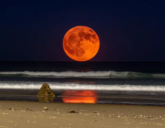 Fenomena Pink Moon April 2026 Bisa Diamati dari Indonesia, Ini Waktu dan Cara Melihatnya