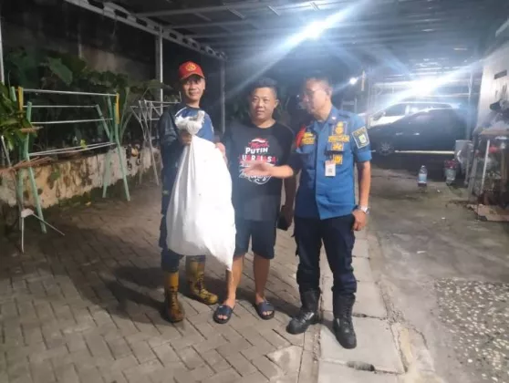BUSET NGERI BANGET!!! Damkar Tangerang Evakuasi Sarang Tawon Seukuran Ban Mobil 